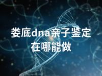 娄底dna亲子鉴定在哪能做