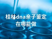 桂林dna亲子鉴定在哪能做