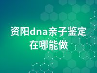 资阳dna亲子鉴定在哪能做