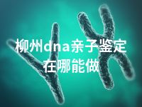 柳州dna亲子鉴定在哪能做