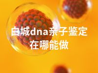 白城dna亲子鉴定在哪能做