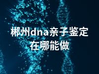 郴州dna亲子鉴定在哪能做