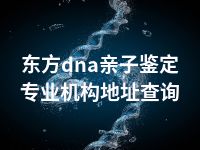 东方dna亲子鉴定专业机构地址查询