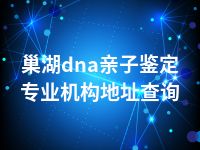 巢湖dna亲子鉴定专业机构地址查询