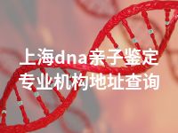 上海dna亲子鉴定专业机构地址查询