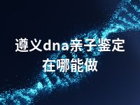 遵义dna亲子鉴定在哪能做