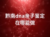 黔南dna亲子鉴定在哪能做