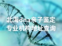 北海dna亲子鉴定专业机构地址查询