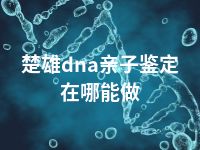 楚雄dna亲子鉴定在哪能做