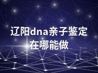 辽阳dna亲子鉴定在哪能做