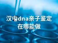 汉中dna亲子鉴定在哪能做