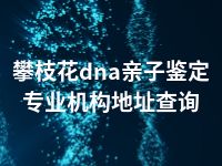 攀枝花dna亲子鉴定专业机构地址查询