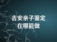 吉安亲子鉴定在哪能做