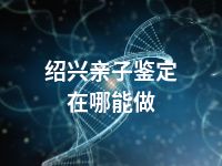 绍兴亲子鉴定在哪能做