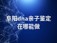 阜阳dna亲子鉴定在哪能做