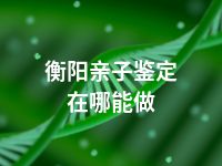 衡阳亲子鉴定在哪能做