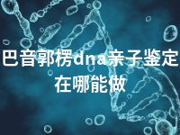 巴音郭楞dna亲子鉴定在哪能做