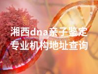 湘西dna亲子鉴定专业机构地址查询