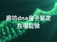 廊坊dna亲子鉴定在哪能做