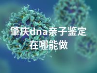 肇庆dna亲子鉴定在哪能做