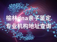 榆林dna亲子鉴定专业机构地址查询