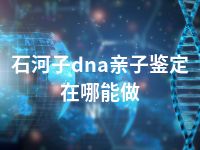 石河子dna亲子鉴定在哪能做