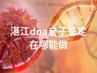 湛江dna亲子鉴定在哪能做