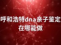 呼和浩特dna亲子鉴定在哪能做