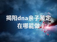 揭阳dna亲子鉴定在哪能做