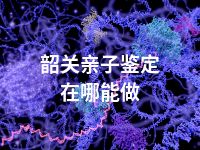 韶关亲子鉴定在哪能做