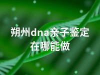 朔州dna亲子鉴定在哪能做