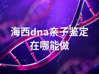 海西dna亲子鉴定在哪能做