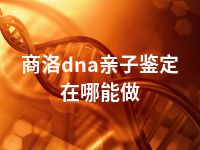 商洛dna亲子鉴定在哪能做