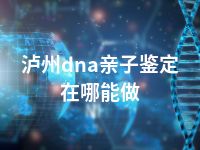 泸州dna亲子鉴定在哪能做