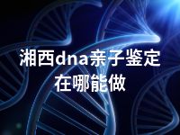 湘西dna亲子鉴定在哪能做