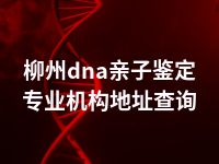 柳州dna亲子鉴定专业机构地址查询