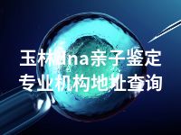 玉林dna亲子鉴定专业机构地址查询