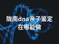 陇南dna亲子鉴定在哪能做