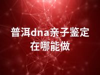 普洱dna亲子鉴定在哪能做