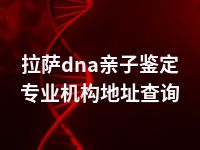 拉萨dna亲子鉴定专业机构地址查询