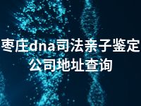 枣庄dna司法亲子鉴定公司地址查询