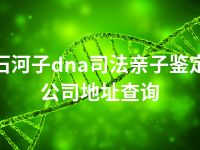 石河子dna司法亲子鉴定公司地址查询