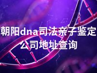 朝阳dna司法亲子鉴定公司地址查询