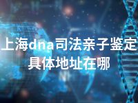 上海dna司法亲子鉴定具体地址在哪