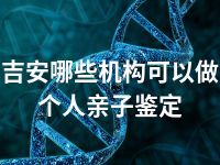 吉安哪些机构可以做个人亲子鉴定