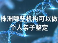 株洲哪些机构可以做个人亲子鉴定