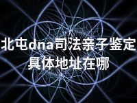 北屯dna司法亲子鉴定具体地址在哪