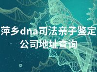 萍乡dna司法亲子鉴定公司地址查询