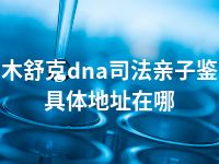 图木舒克dna司法亲子鉴定具体地址在哪