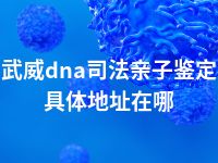 武威dna司法亲子鉴定具体地址在哪